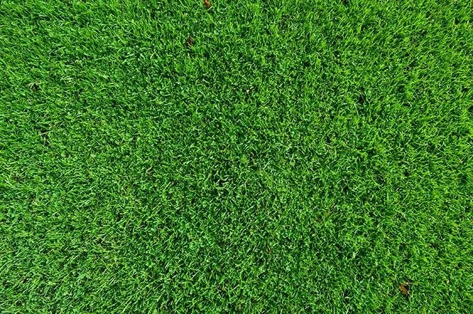 绿化草坪